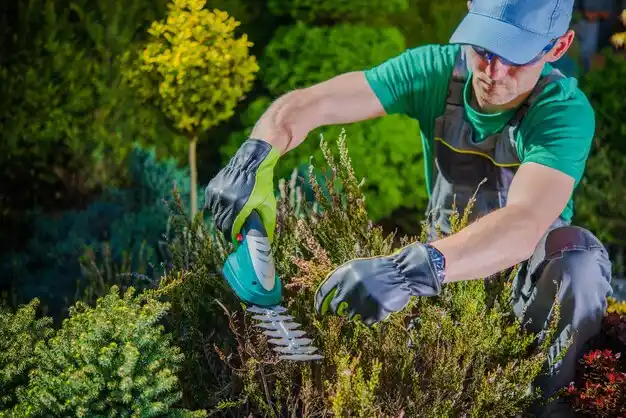 landscaping services New Washington